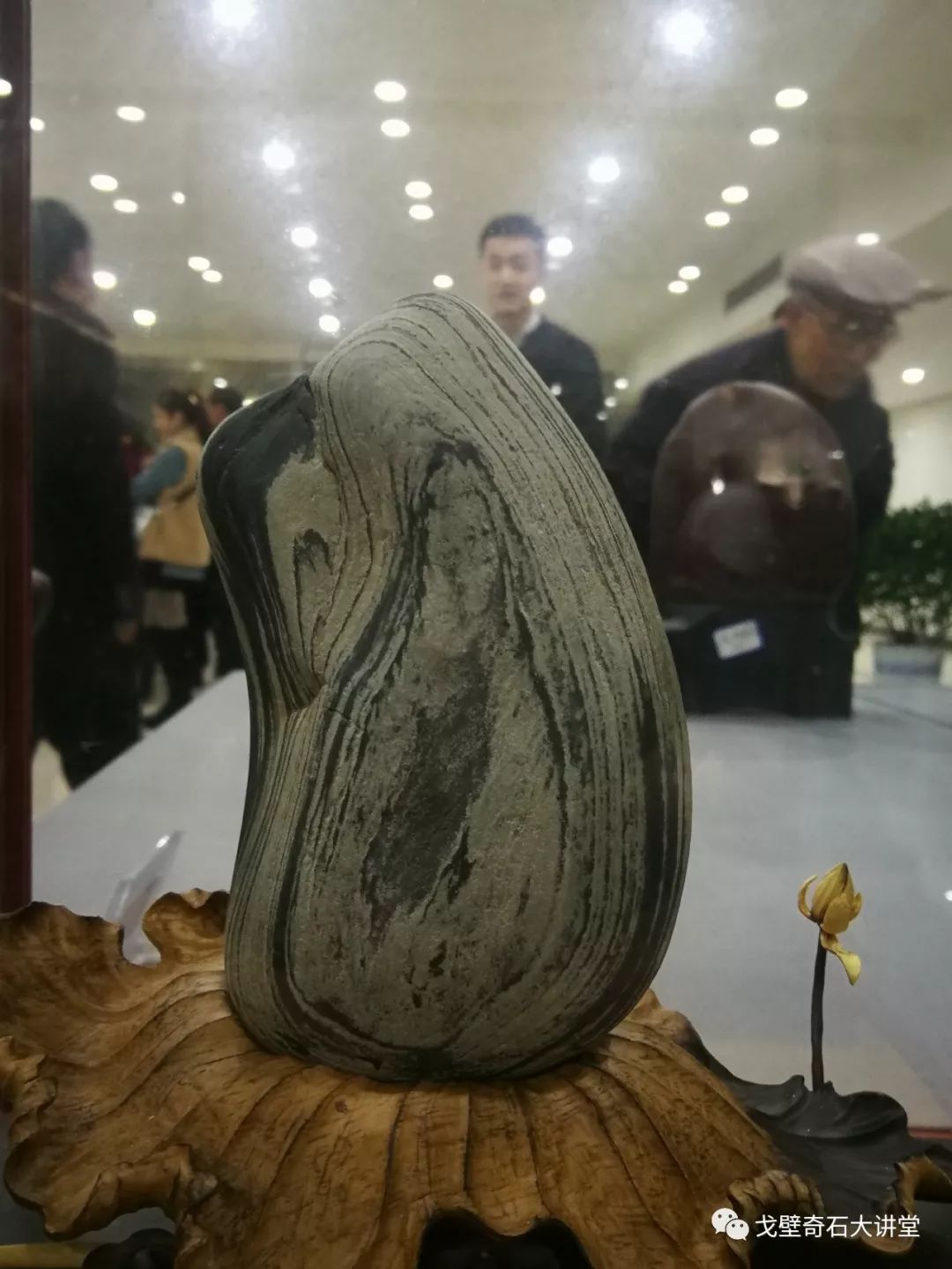 最新奇石展，探寻自然奥秘与艺术魅力的交汇点