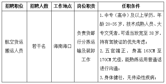 南海司机招聘最新动态，行业趋势解析与求职指南