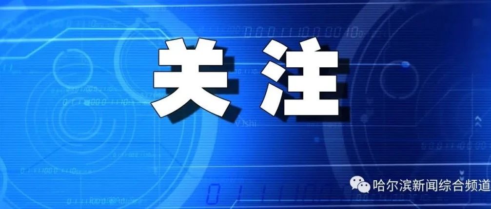 伦理在线，探讨敏感话题与涉黄问题的挑战与应对之道